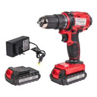 Bormasina cu percutie 18V 2-ск. 2x2Ah 30Nm 10mm RD-CDL38 - Raider Power Tools